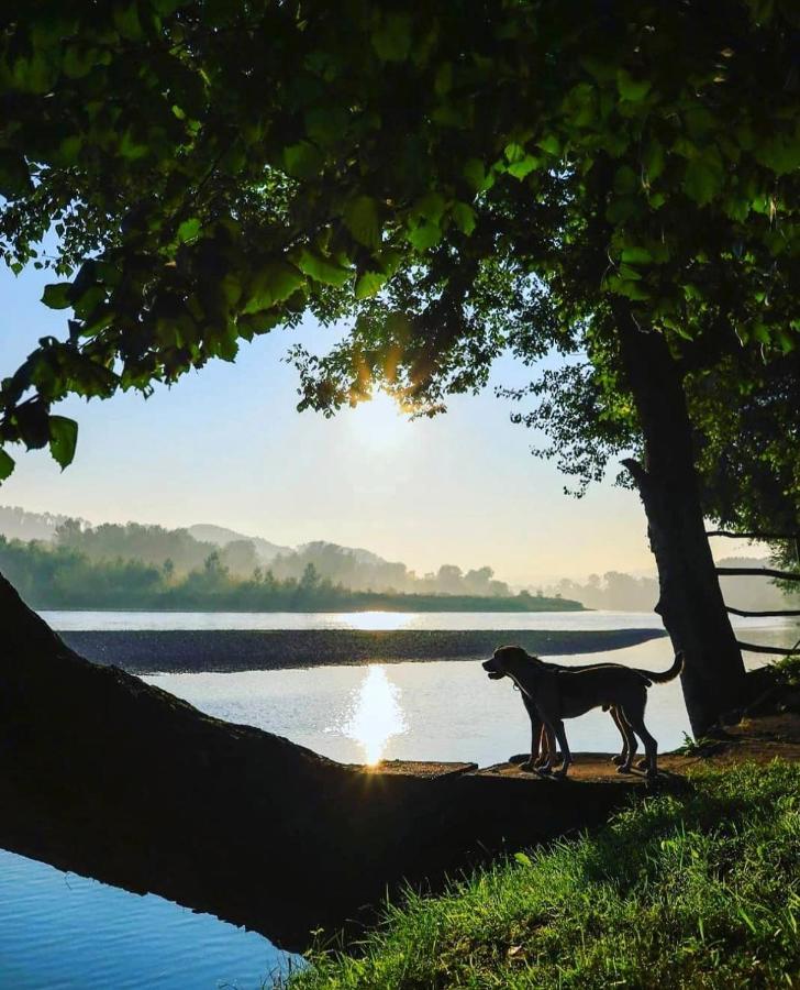 Drinska Laguna Banja Koviljača Dış mekan fotoğraf